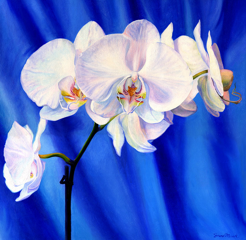 "Orchid" Oil On Canvas, 20" x 20"